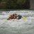 Turistični rafting